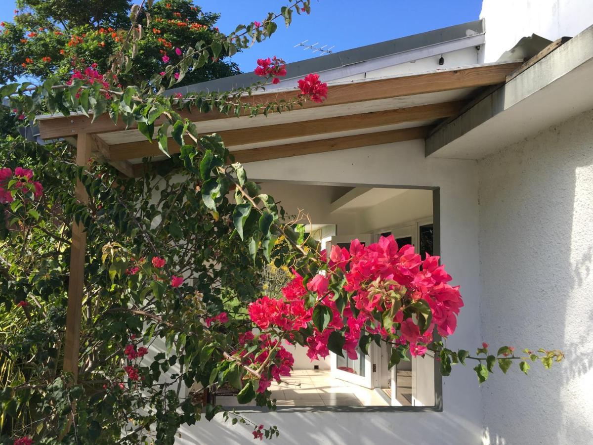 Ancella'S Garden Apartment-Beach-5Min Drive, 1 Hr Montego Bay, 25 Mins Ocho Rios, Continental Breakfast Runaway Bay Eksteriør bilde