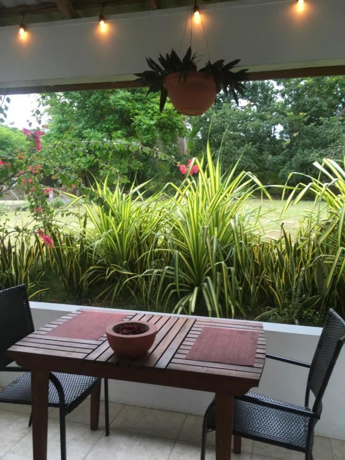 Ancella'S Garden Apartment-Beach-5Min Drive, 1 Hr Montego Bay, 25 Mins Ocho Rios, Continental Breakfast Runaway Bay Eksteriør bilde