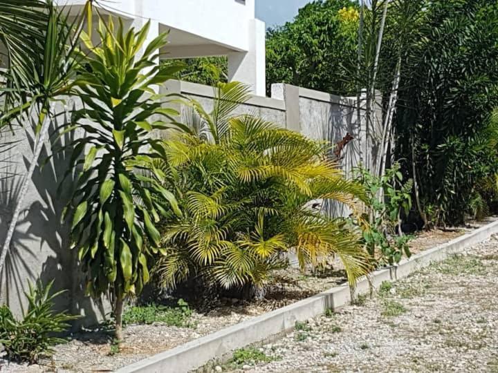 Ancella'S Garden Apartment-Beach-5Min Drive, 1 Hr Montego Bay, 25 Mins Ocho Rios, Continental Breakfast Runaway Bay Eksteriør bilde